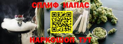 СК Будённовск