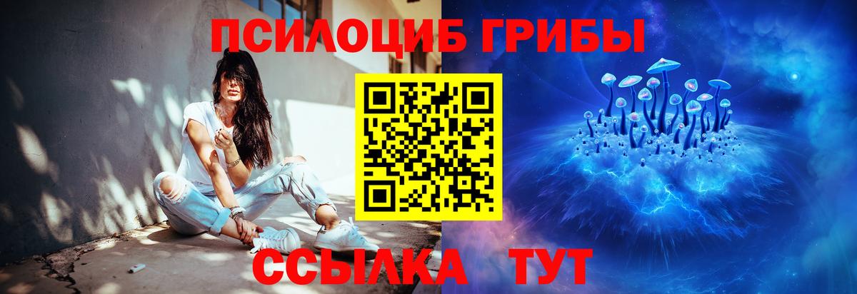 Галлюциногенные грибы Magic Shrooms Ялта